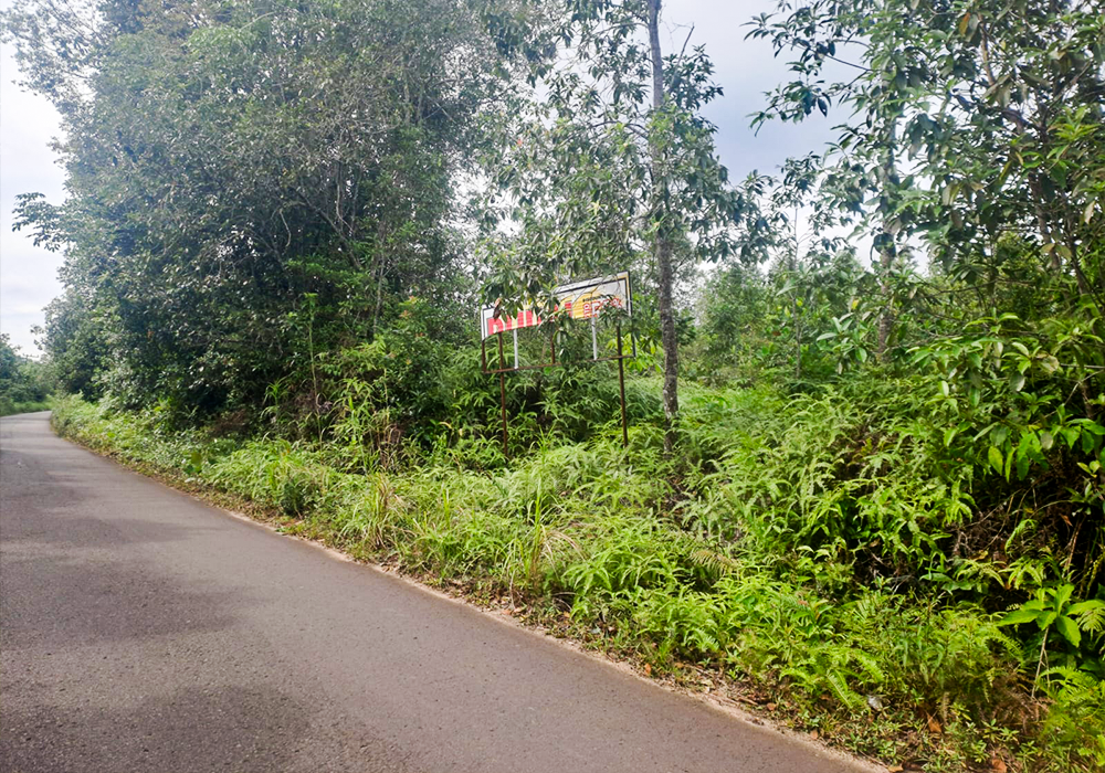 TANAH DI KAB. BANGKA BARAT - NPL100-4 - foto 3